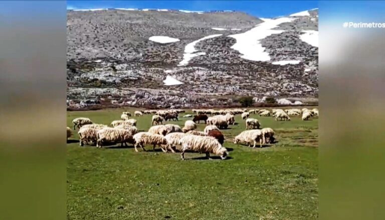 Τυροκόμος στα Ανώγεια στα 28 του χρόνια σε τυροκομείο 55 τ.μ