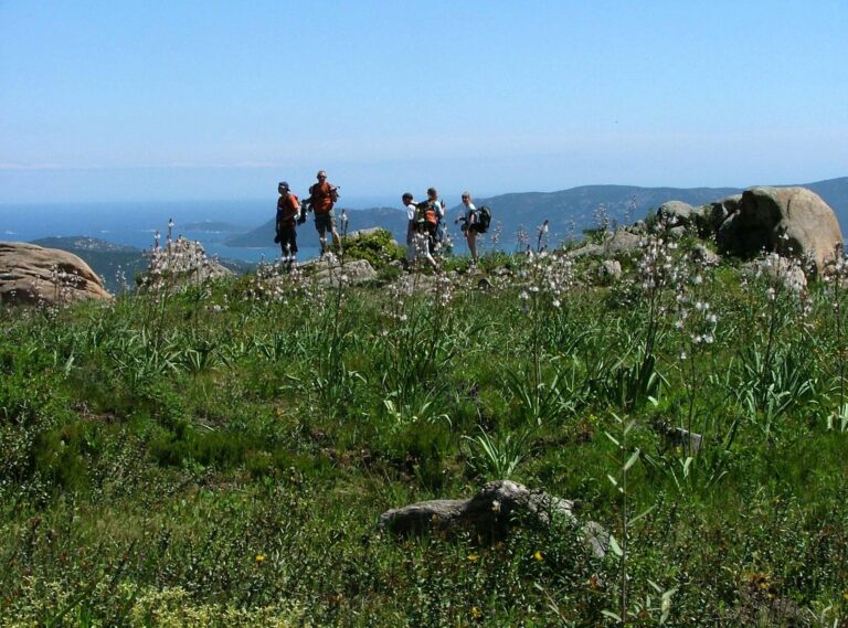 Καλαμάτα: Διεθνής ημερίδα με θέμα “Βιωματικός και Βιώσιμος Τουρισμός”