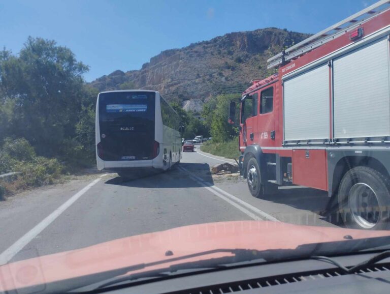 Χανιά: Άνεμοι ξερίζωσαν δέντρο που “προσγειώθηκε” στον ΒΟΑΚ κλείνοντας και τα δύο ρεύματα κυκλοφορίας (video)