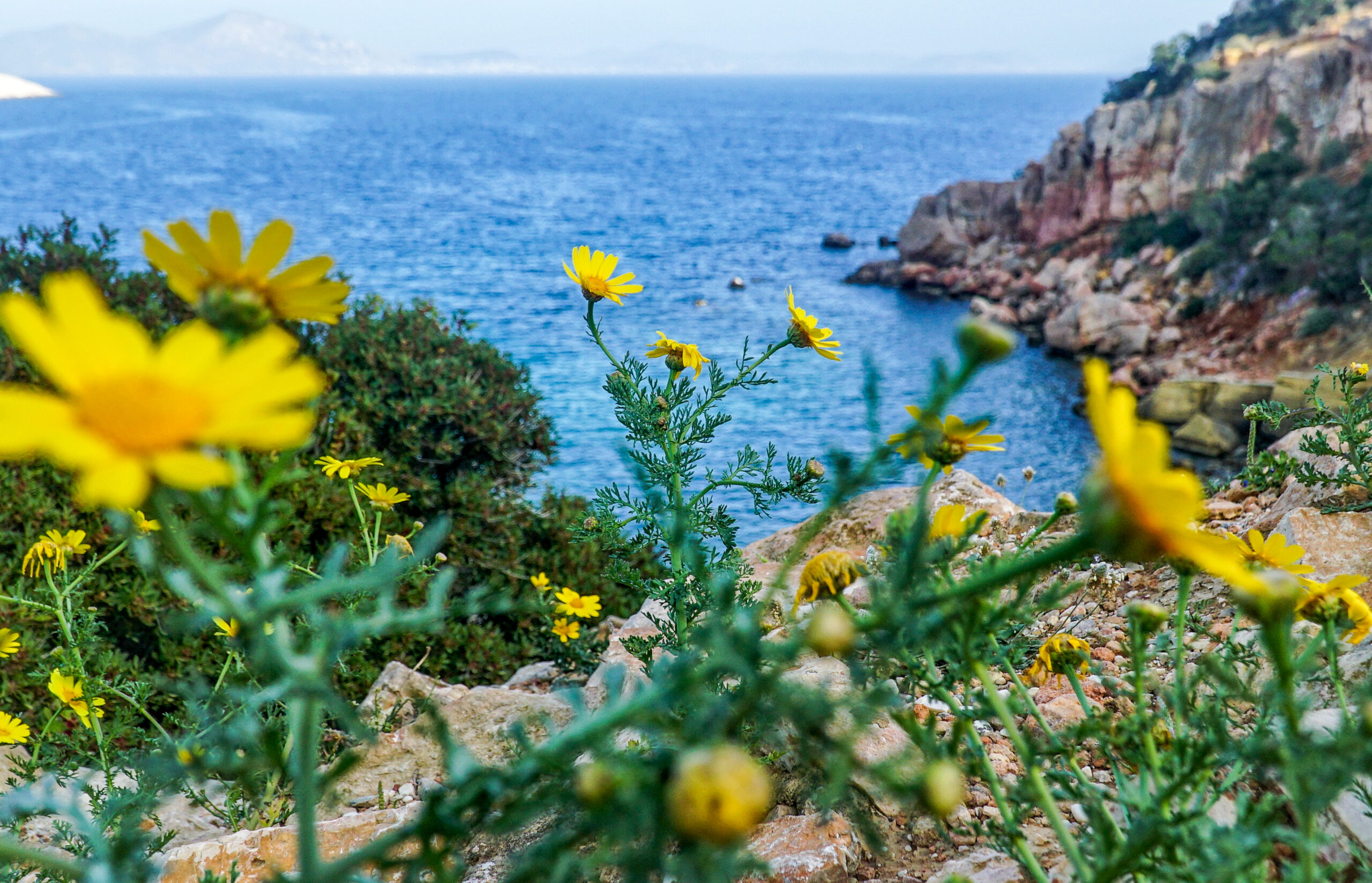 ΓΙΩΡΓΟΣ ΚΟΝΤΑΡΙΝΗΣ/EUROKINISSI)