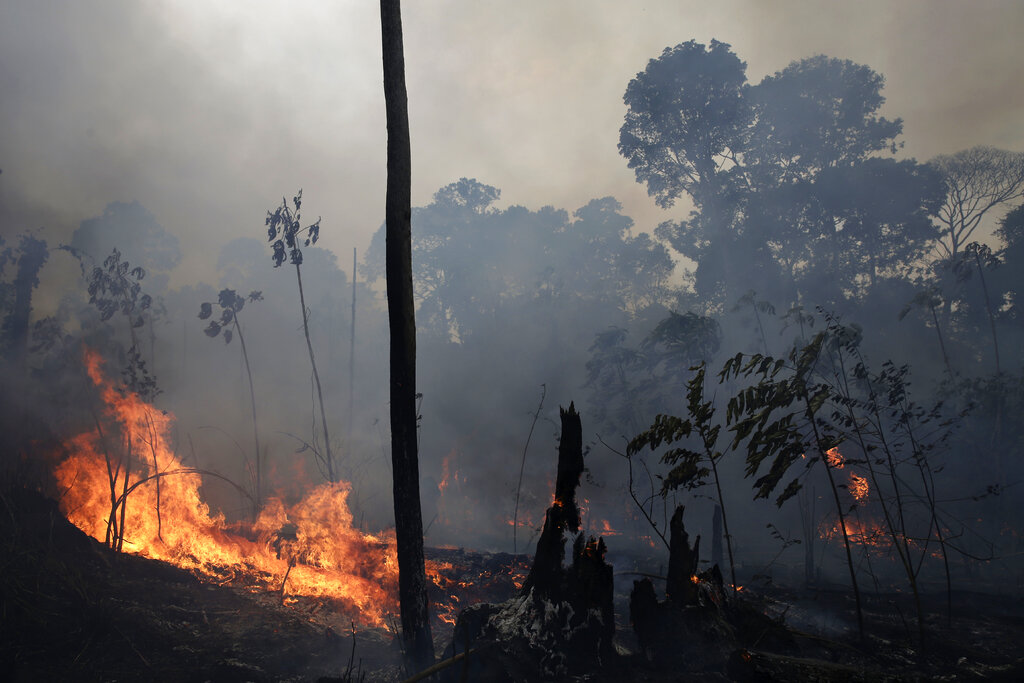 Brazil Amazon Fires