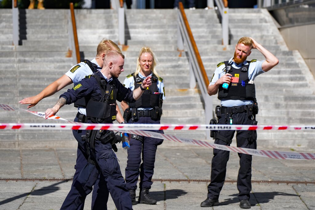 Denmark Shooting