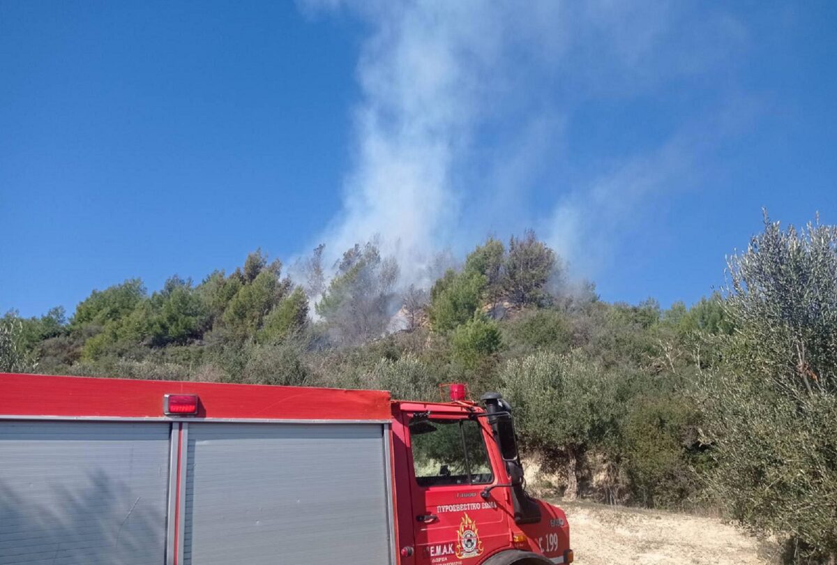 Υπό μερικό έλεγχο η πυρκαγιά σε χαμηλή βλάστηση στον Ασπρόπυργο