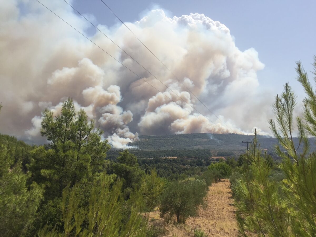 Καύσωνας: Πολύ υψηλός κίνδυνος πυρκαγιάς για αύριο Πέμπτη – Κατηγορία κινδύνου 4