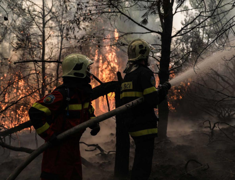 Συνελήφθη για την πρόκληση πυρκαγιάς στον Γρύλλο Κρεστένων