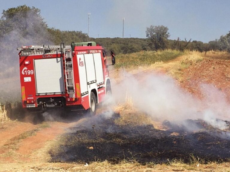 Βόλος: Φωτιά σε αγροτική έκταση στο Φυτόκο