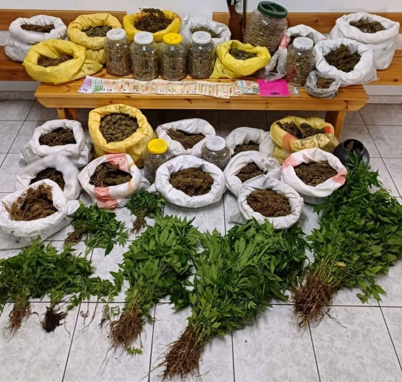 Χαλκιδική: Καλλιεργούσε 305 δενδρύλλια κάνναβης σε περιφραγμένο χώρο στην αυλή του