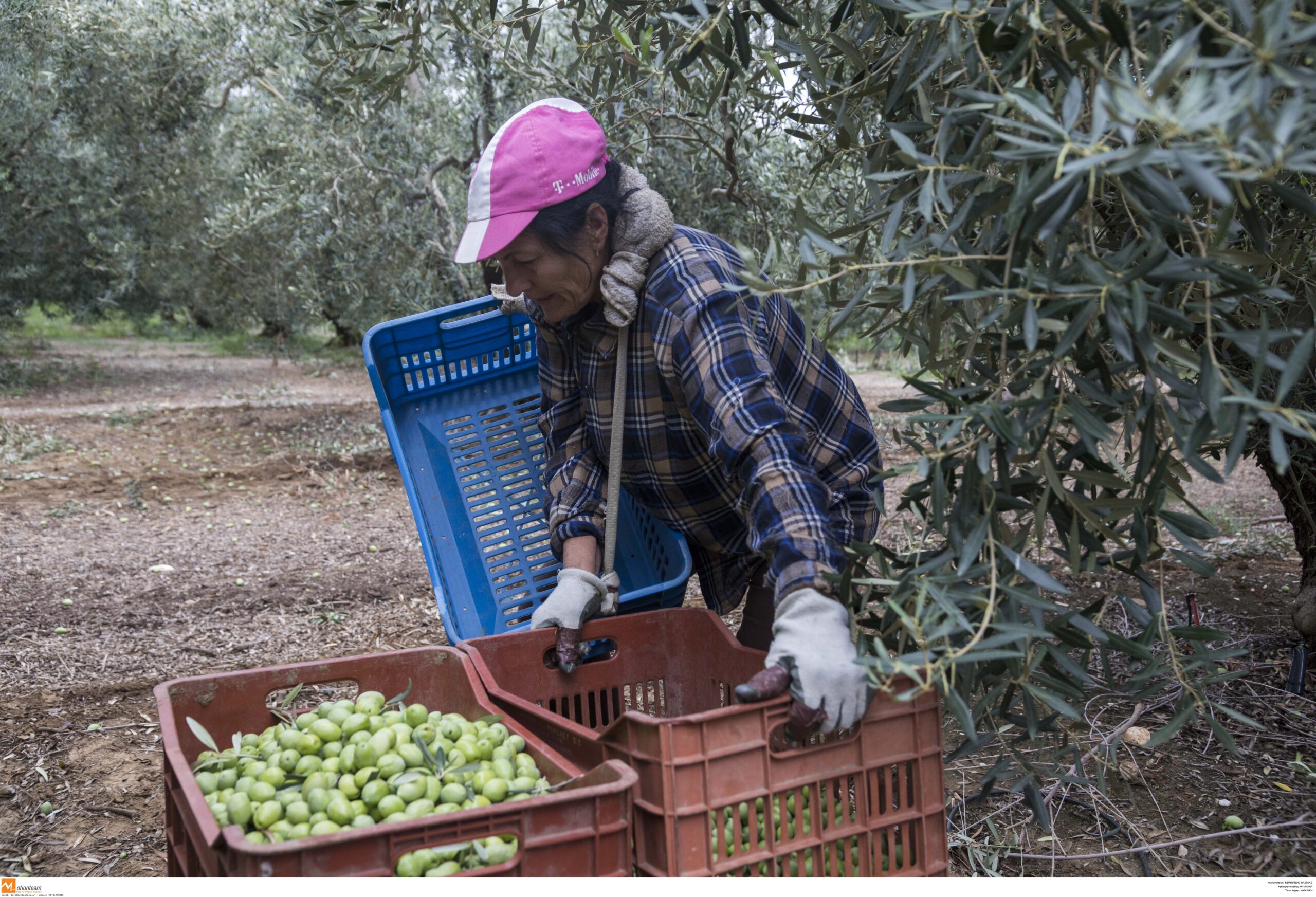 Λ. Αυγενάκης: Πληρωμές σχεδόν 2,2 δισ. ευρώ στον αγροτικό τομέα έως το τέλος του 2024 – Στόχος μας ένας σύγχρονος πρωτογενής τομέας