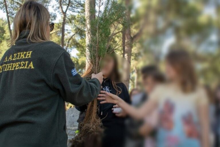 Χαλκιδική: Μαθητές και μαθήτριες φύτεψαν 150 δέντρα στην κατασκήνωση του ΑΠΘ στο Ποσείδι
