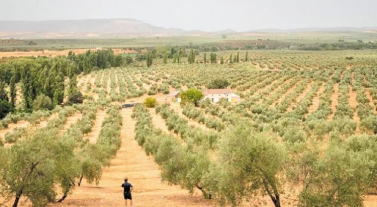 Πρωτόκολλο συνεργασίας του Ενιαίου Φορέα Ελέγχου Τροφίμων και της Περιφέρειας Κρήτης