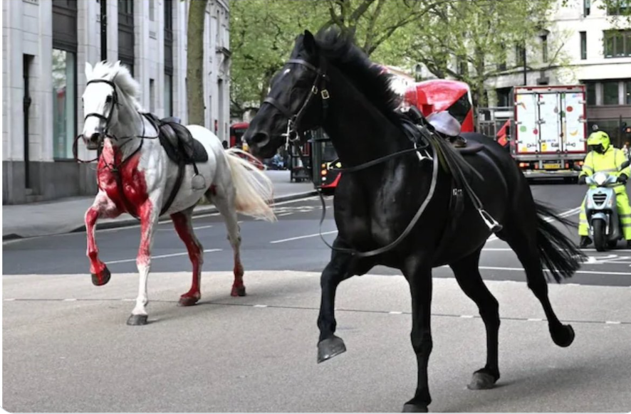 Λονδίνο: Αφηνιασμένα άλογα του ιππικού προκάλεσαν πανικό στο κέντρο της πόλης (video)
