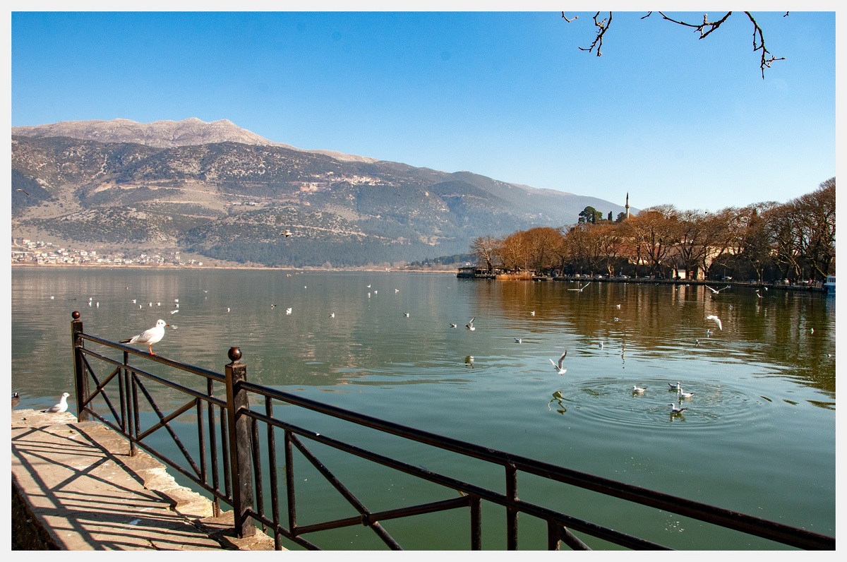 ioannina