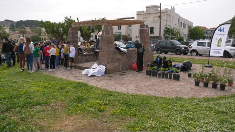 Μυτιλήνη: Δράση καθαρισμού της ακτής στην Επάνω Σκάλα