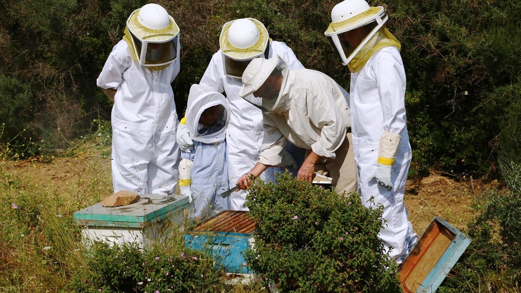 Αλεξανδρούπολη: «Πράσινο φως» για την αποκατάσταση του Μελισσοκομικού πάρκου Δαδιάς