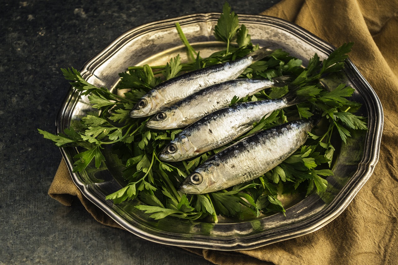 sardines-1468422_1280