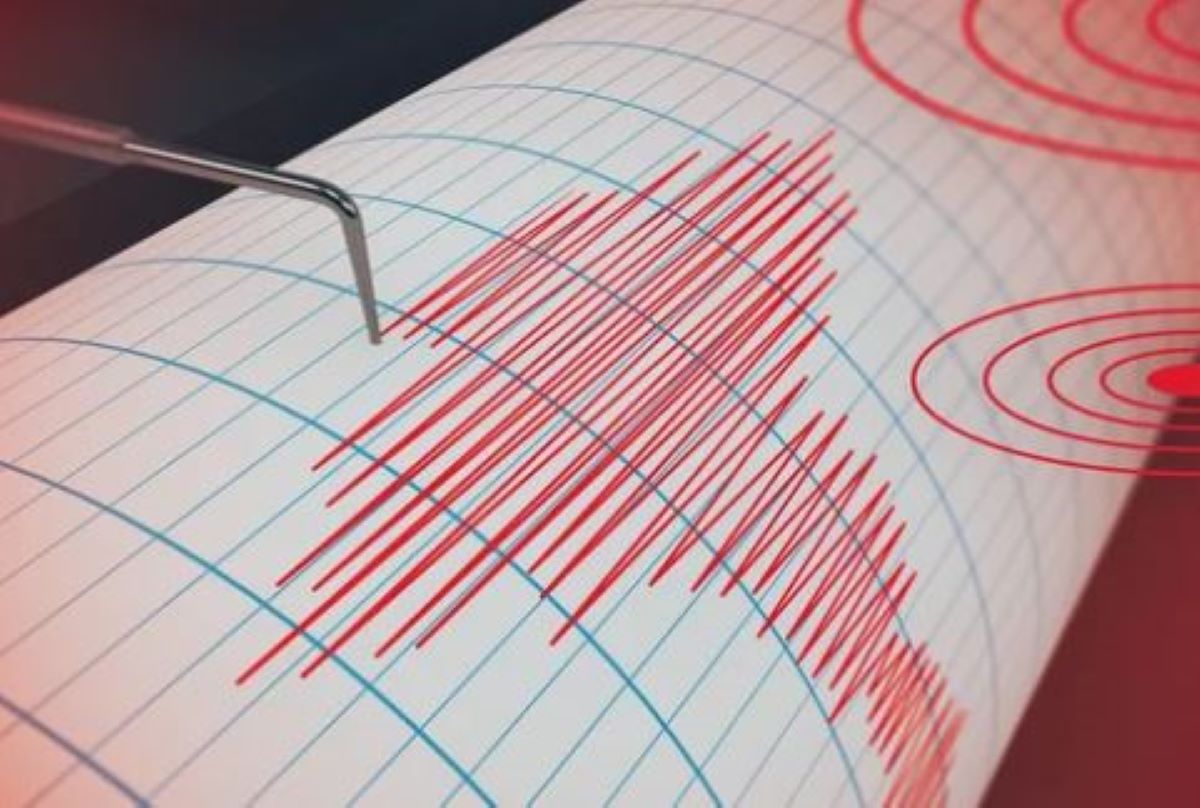 seismografos-1 (1)