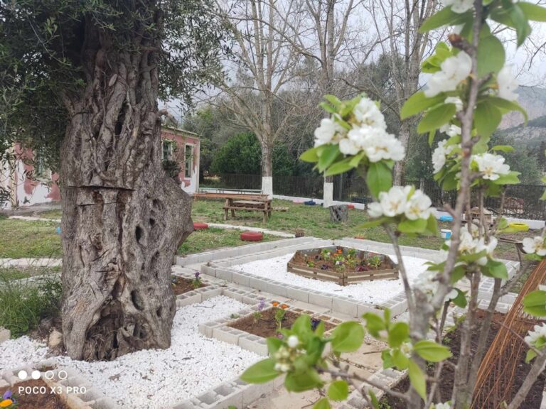 Κέρκυρα: Μαθητές δημιούργησαν μίνι πάρκο με ανακυκλώσιμα υλικά στους Λιαπάδες