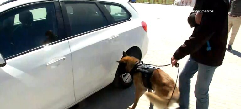 Θεσσαλονίκη: Οι εκπαιδευμένοι σκύλοι στην υπηρεσία του πολίτη