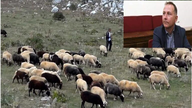 Βόλος: Ερώτηση για την αποκατάσταση του κατεστραμμένου ζωικού κεφαλαίου από τον βουλευτή ΚΚΕ Μαγνησίας Β. Μεταξά