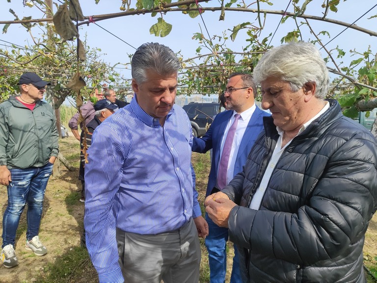 Χαλάζι Τοψίδης Πανταζής