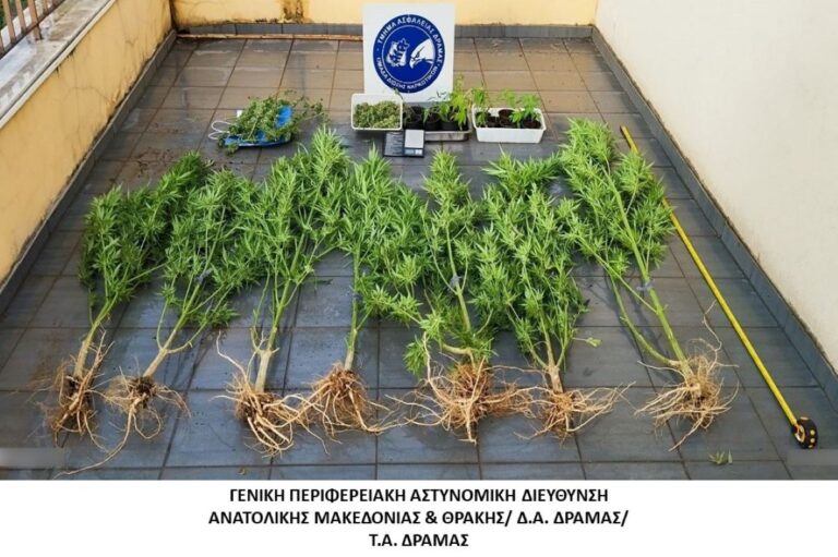 Δράμα: Σύλληψη για καλλιέργεια και διακίνηση ναρκωτικών