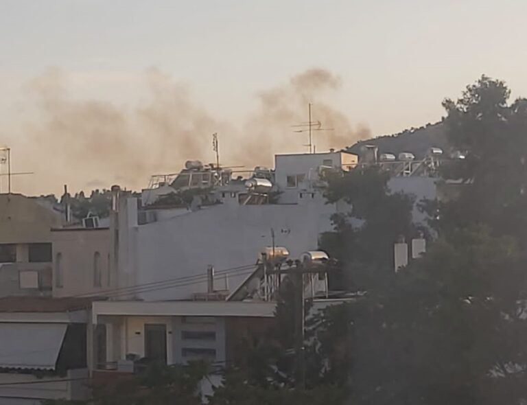 Υπό έλεγχο η φωτιά στο Άλσος Βεΐκου στο Γαλάτσι