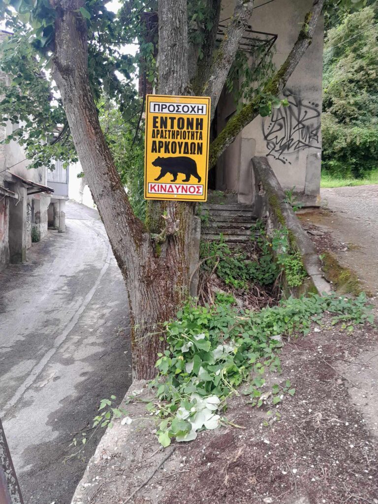 Φλώρινα: Τοποθέτηση προειδοποιητικών πινακίδων για πέρασμα αρκούδας στον λόφο Αγ. Παντελεήμονα