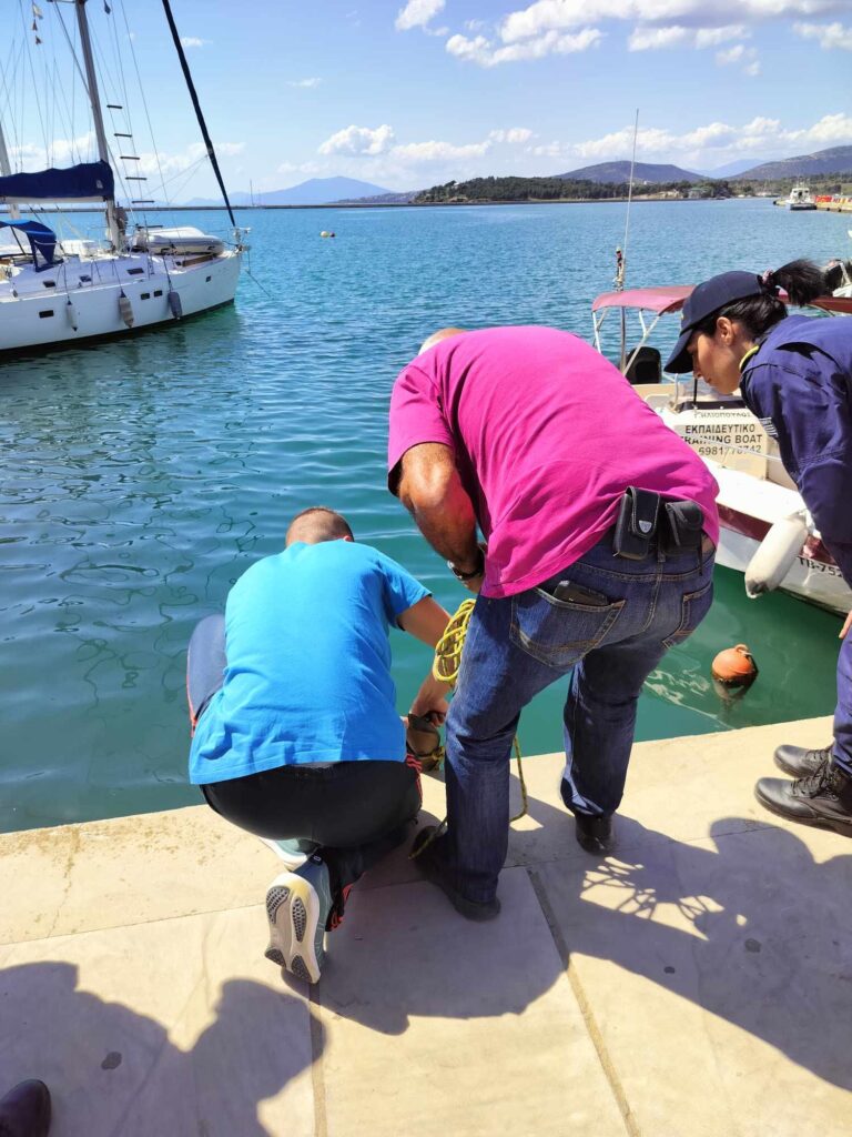 Εγκλωβίστηκε καρχαριοειδές σε αγωγό ομβρίων στο λιμάνι του Βόλου