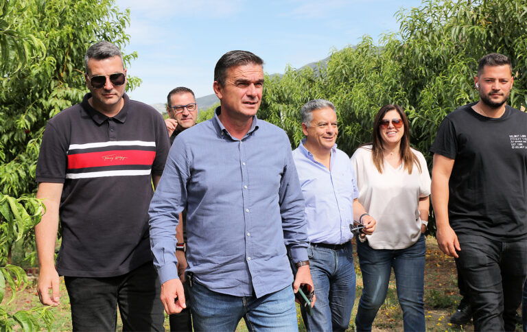 Αυτοψία κλιμακίου γεωπόνων σε ροδακινιές και αμπέλια στον Τύρναβο