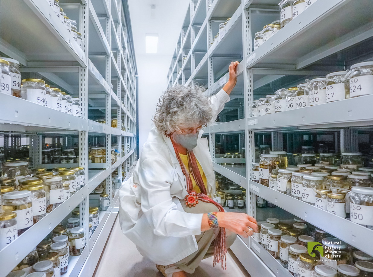 Ηράκλειο: Το Μουσείο Φυσικής Ιστορίας γιορτάζει την Ημέρα Αναγνώρισης της Ταξινομικής και παρουσιάζει τις μοναδικές συλλογές του