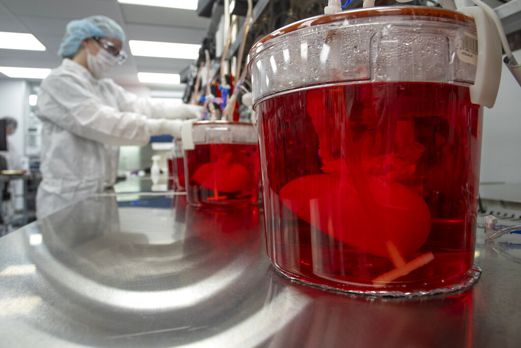 CORRECTION Bioengineered Organs
