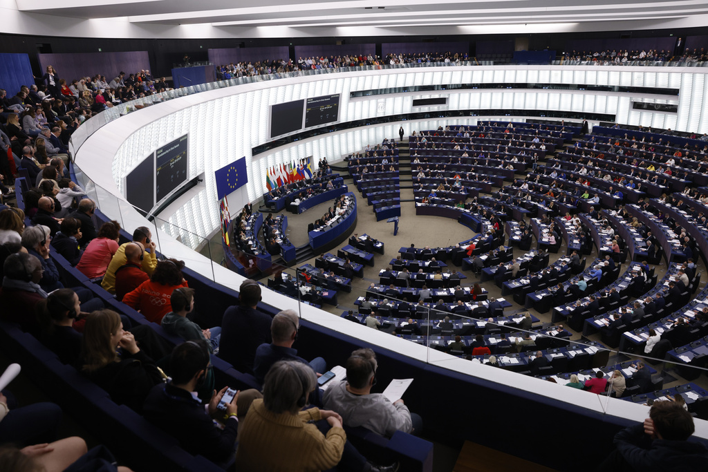 European Elections Explainer