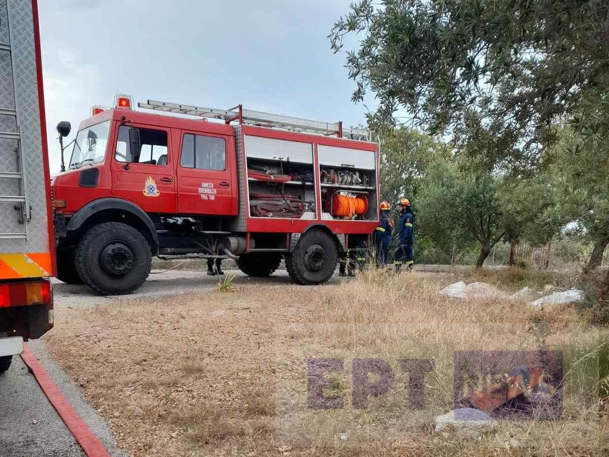 Χίος: Άσκηση «Δια Πυρός 2024», μέσα σε οικισμό με πυκνή βλάστηση