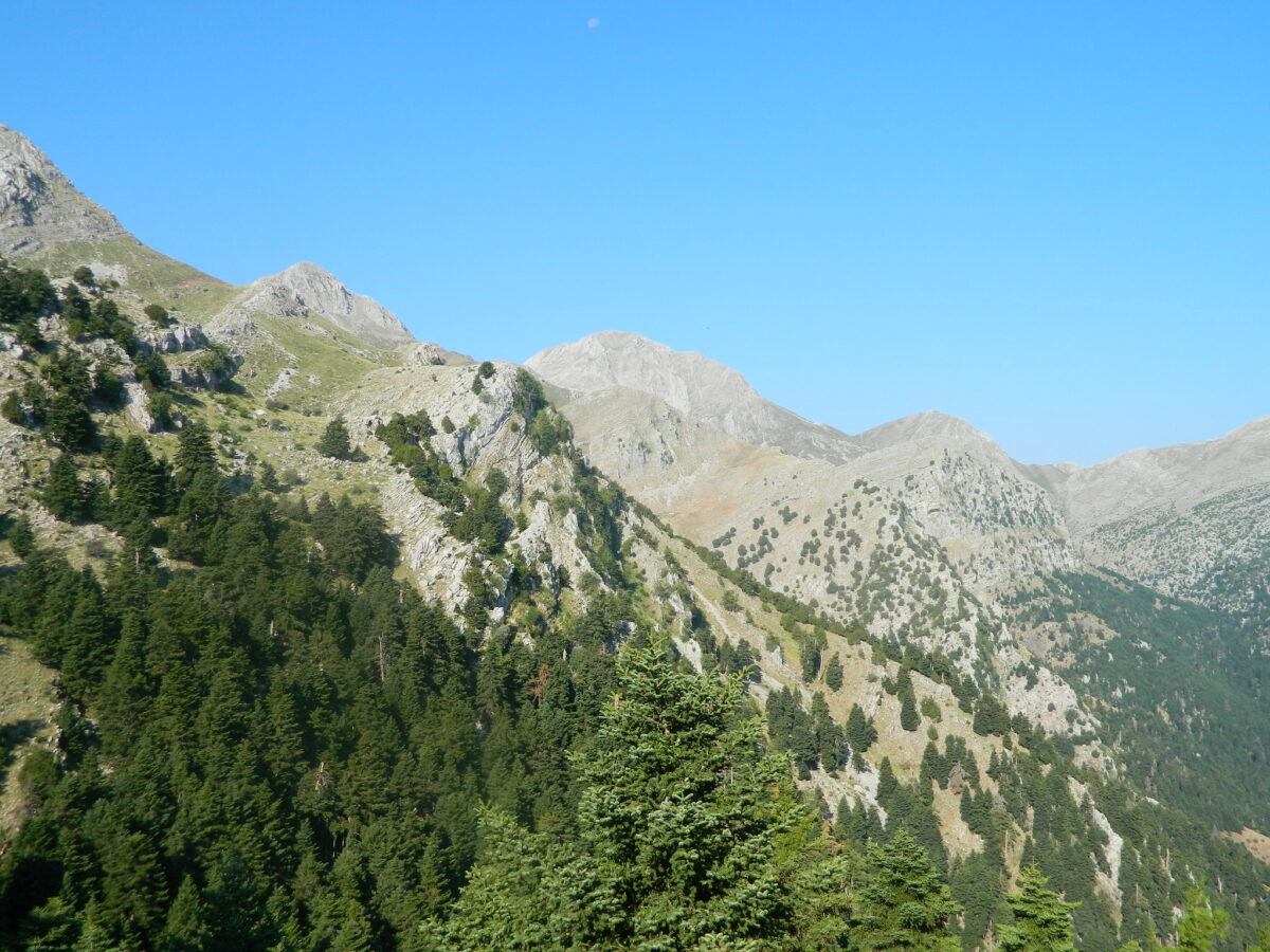 Μεσσηνία: Ανάβαση στον Ερύμανθο με τον Ορειβατικό Καλαμάτας