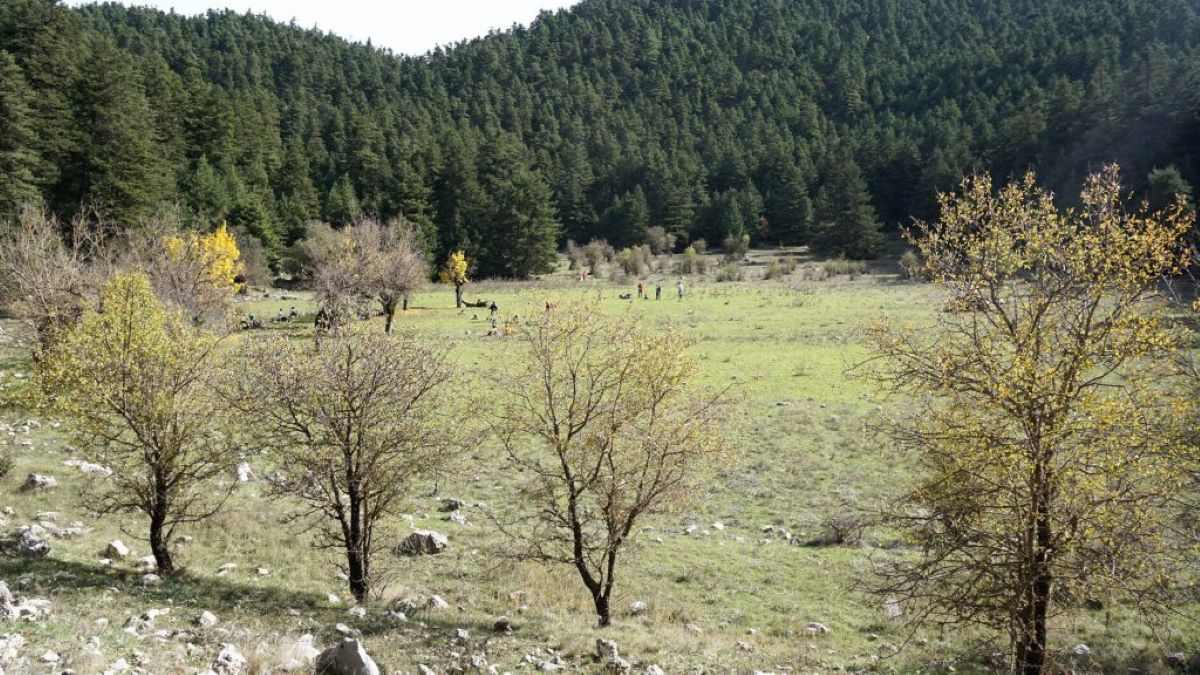 Μεσσηνία: Πεζοπορία στο Καλάθι με τον ΕΟΣ Καλαμάτας