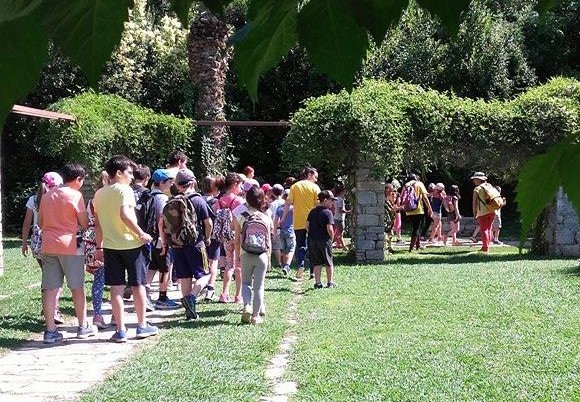Summer Camp Μορφες Εκφρασης