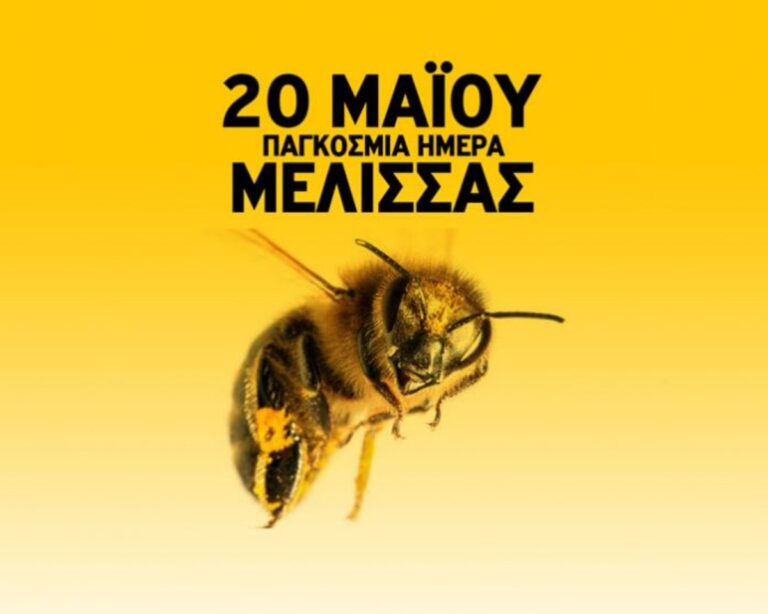 Παγκόσμια ημέρα της μέλισσας η 20η Μαΐου