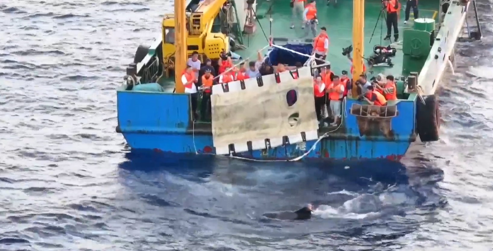 Ένθετο Κόσμος: Τραυματισμένη φάλαινα διασώθηκε και αφέθηκε ελεύθερη στον ωκεανό
