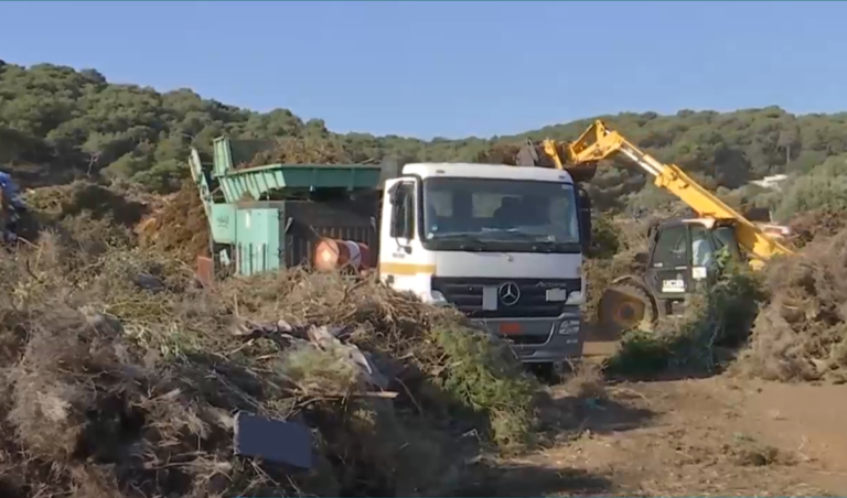 Δήμαρχος Πικερμίου για ακαθάριστα οικόπεδα: Ο κόσμος έχει πάθει πανικό – Αποψιλώνει τα οικόπεδα και φέρνει τα υλικά κοντά στη θάλασσα