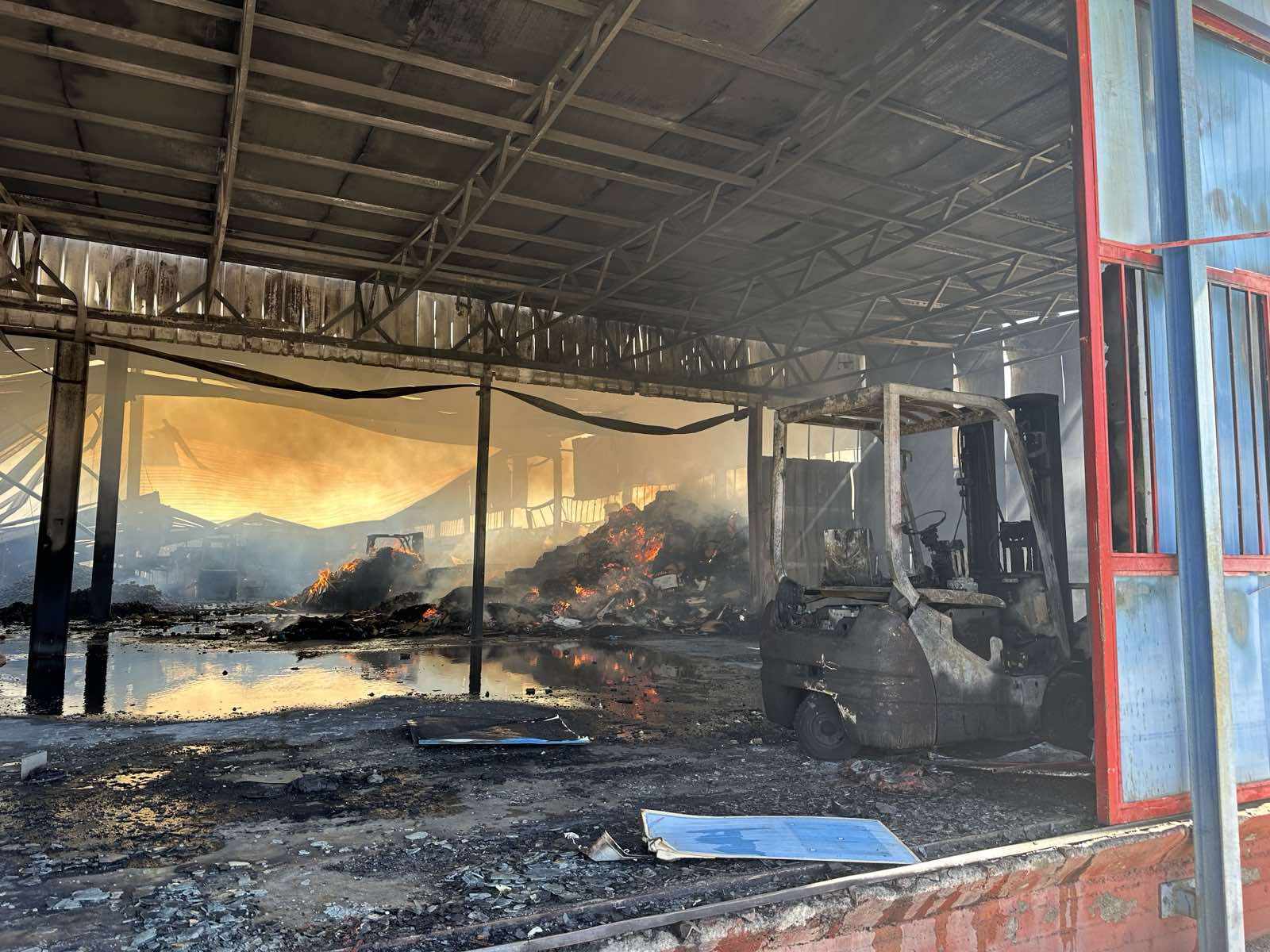 Λακωνία: Κάηκε συσκευαστήριο εσπεριδοειδών στη Σκάλα