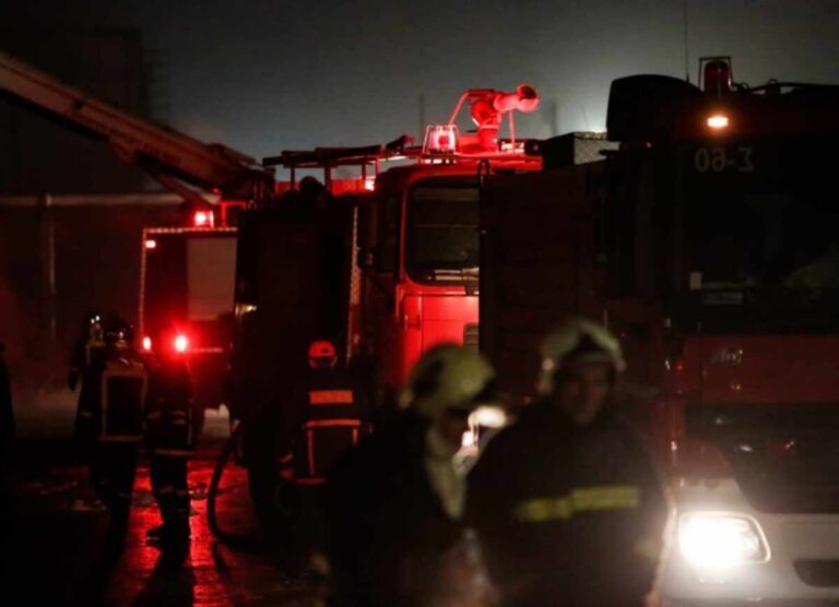 Συναγερμός την νύχτα για φωτιά σε αγροτική αποθήκη στα Φάρσαλα