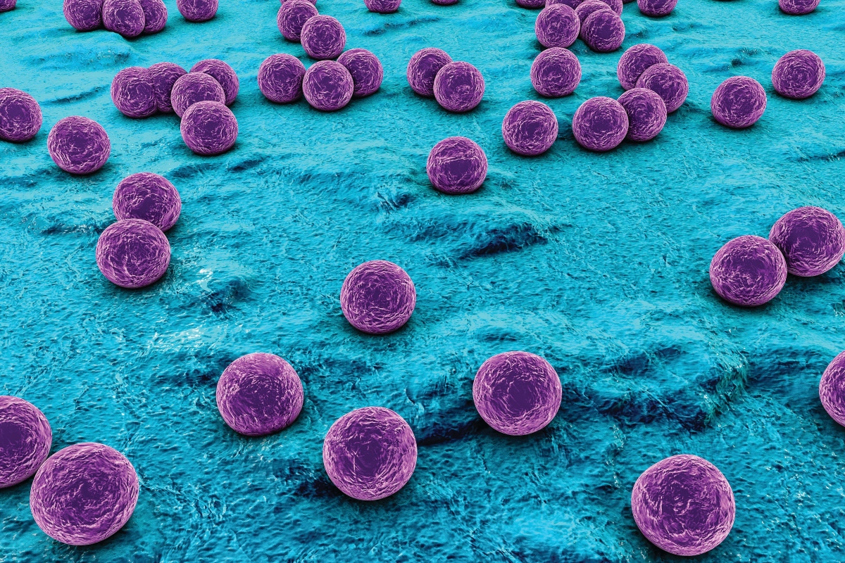 sterile_science-staphylococcus_01-1