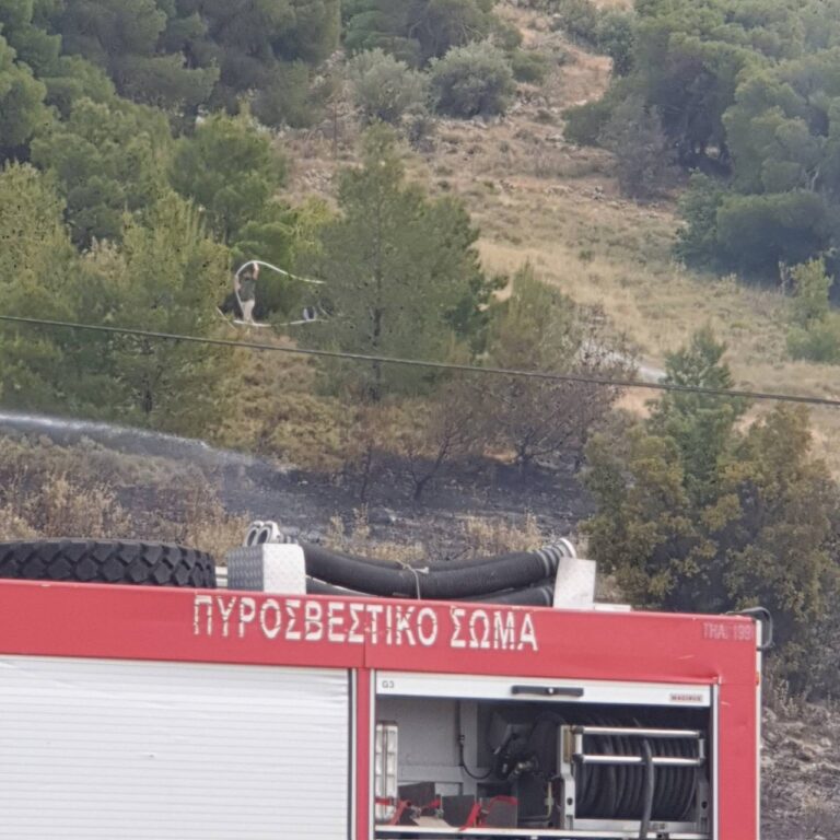 Υπό μερικό έλεγχο η φωτιά σε χαμηλή βλάστηση στη Περιφερειακή Αιγάλεω