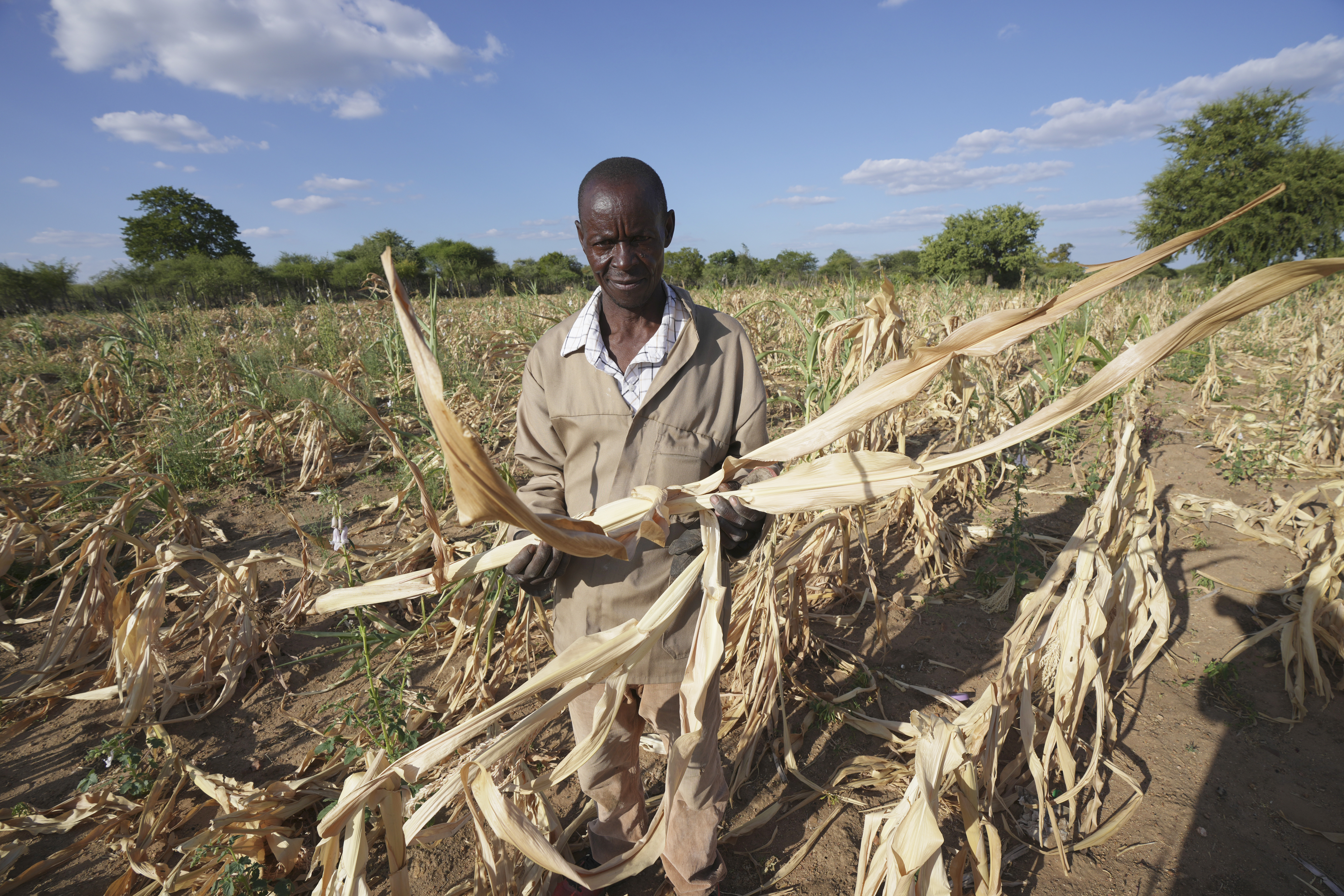 Ζιμπάμπουε: Kίνδυνος λιμού λόγω ξηρασίας – Πάνω από το ήμισυ του πληθυσμού θα χρειαστεί επισιτιστική βοήθεια