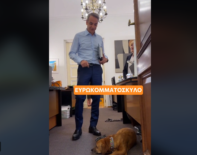 Κ. Μητσοτάκης στο TikTok: Με Μαρίνα Σάττι και Πίνατ… ευρωκομματόσκυλο το προεκλογικό σποτ