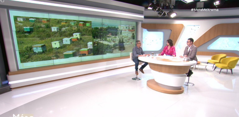 Παγκόσμια Ημέρα Μέλισσας: “Σβήνουν” οι πιο αφοσιωμένοι “εργάτες της φύσης”- 80% μειωμένη η παραγωγή μελιού-Παραμένει η υψηλή ποιότητα