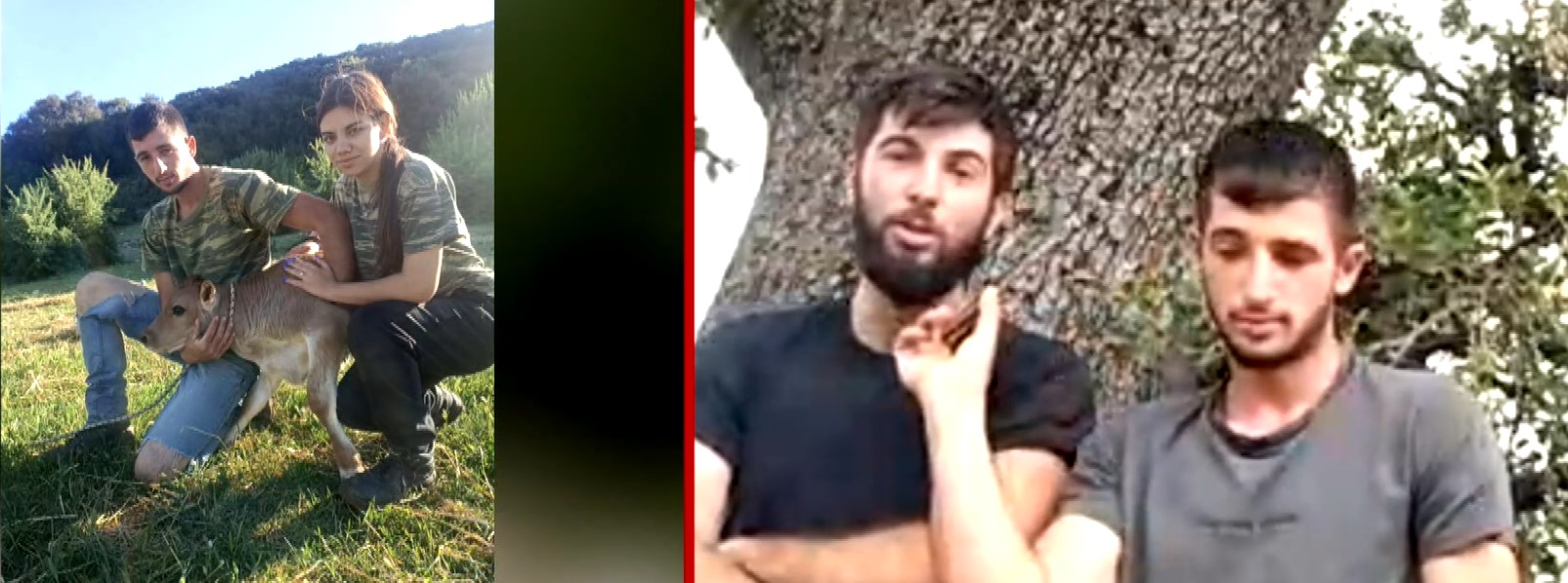 Φλεσιάδα Μεσσηνίας