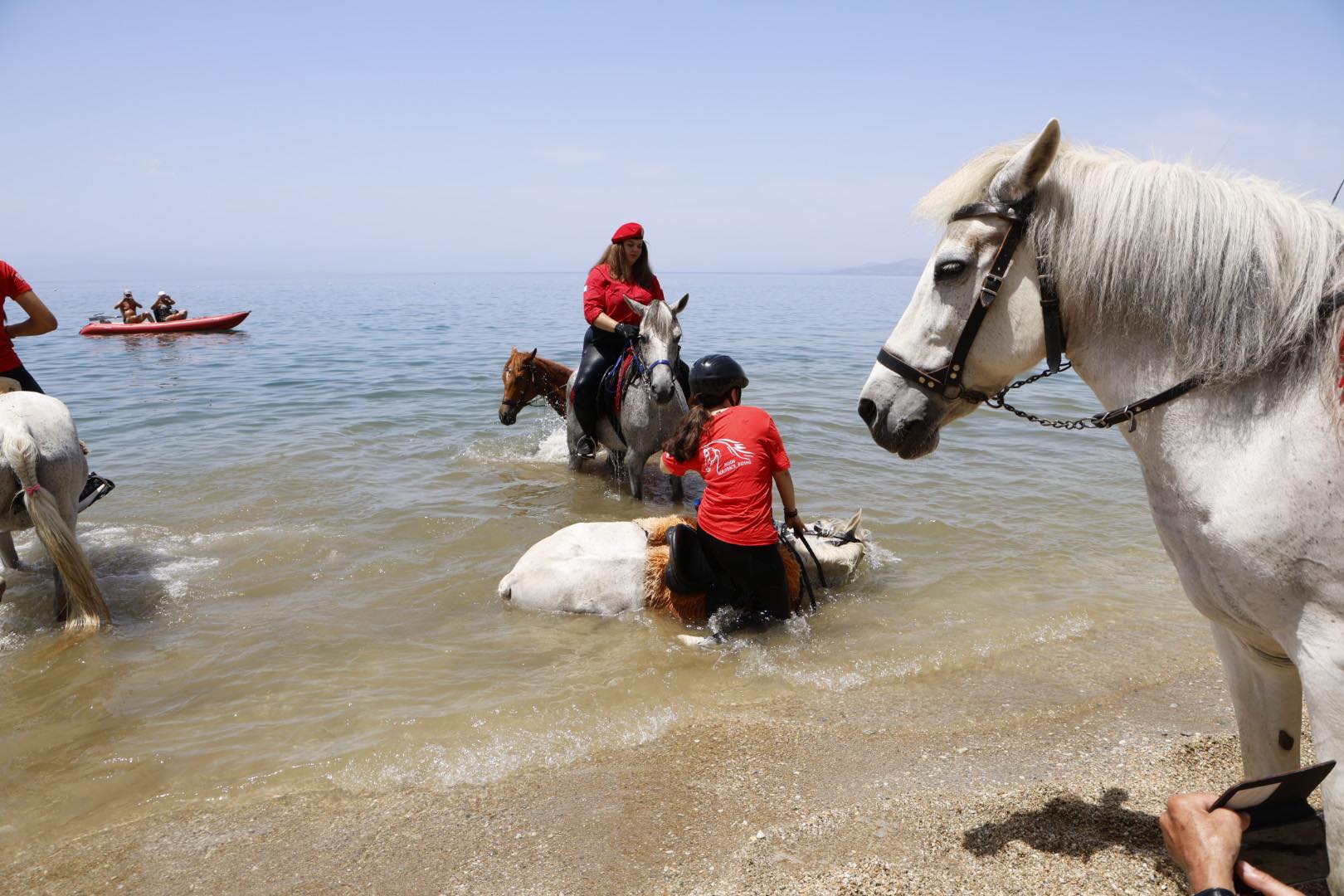 Αναβίωσε το έθιμο αγιασμού των αλόγων στα Καλά Νερά