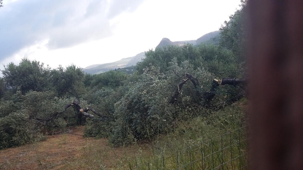 Υπόθεση των 16 συλληφθέντων στην Κίσσαμο: Ικανοποίηση των παθόντων και σοβαρές καταγγελίες! 3 Υπόθεση των 16 συλληφθέντων στην Κίσσαμο: Ικανοποίηση των παθόντων και σοβαρές καταγγελίες (ηχητικά)