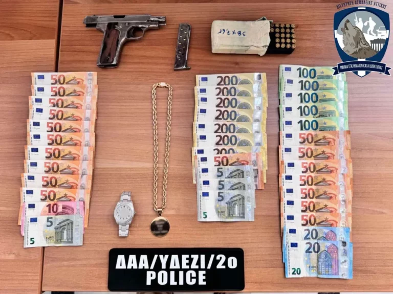 Χαλκιδική: Χειροπέδες σε 24χρονο με ευρωπαϊκό ένταλμα σύλληψης (video)